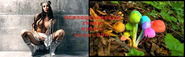 прущие крисы Слюдянка
