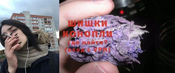 ПСИЛОЦИБИНОВЫЕ ГРИБЫ Заволжье