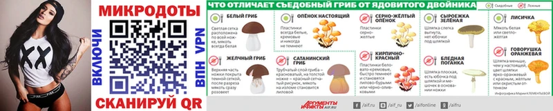 Галлюциногенные грибы мухоморы  купить наркотики цена  Отрадный 