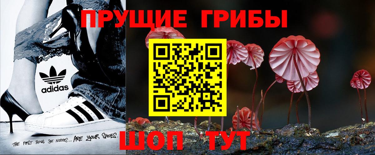 Отрадный  Галлюциногенные грибы ЛСД  Вход с VPN 